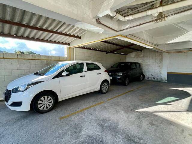 Apartamento para Venda em Caxias do Sul - 5