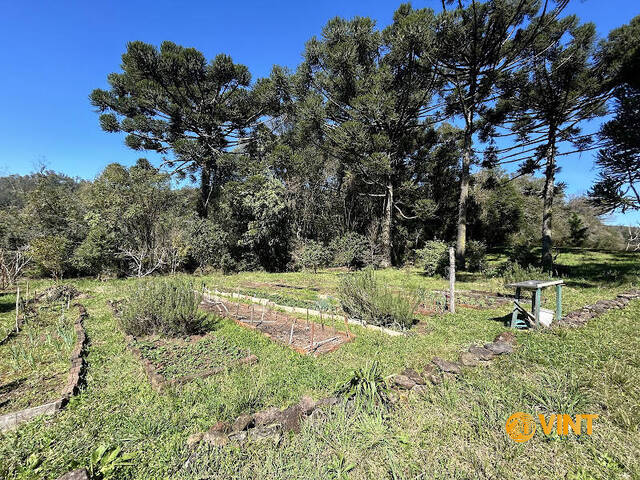 Chácara para Venda em Caxias do Sul - 5