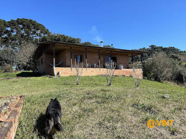 Chácara para Venda em Caxias do Sul - 2