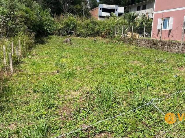 #239 - Terreno para Venda em Caxias do Sul - RS