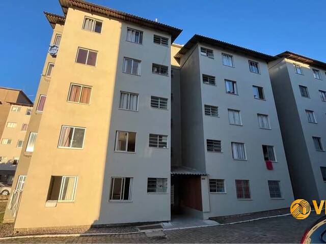 #240 - Apartamento para Venda em Caxias do Sul - RS