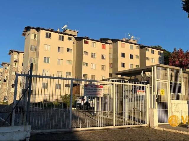 #240 - Apartamento para Venda em Caxias do Sul - RS