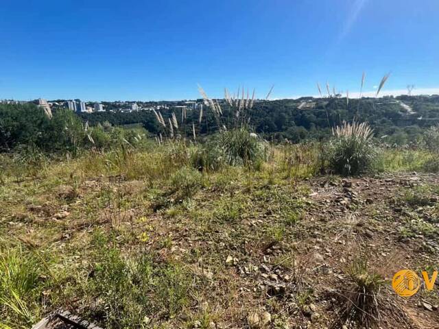 Área para Venda em Caxias do Sul - 4