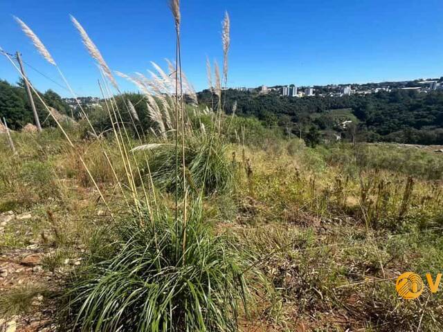 #283 - Área para Venda em Caxias do Sul - RS