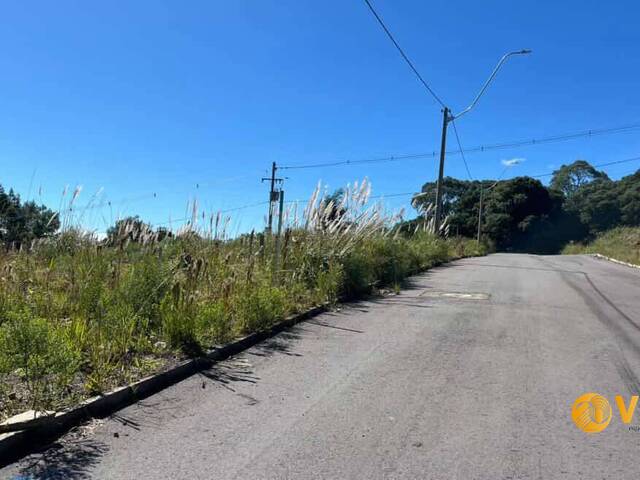 #283 - Área para Venda em Caxias do Sul - RS